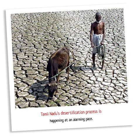 Environmental solutions